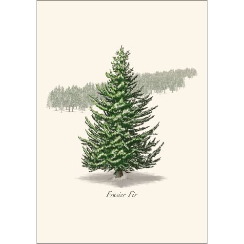 Image of Earth Sky + Water - Frasier Fir Notecard Set - 8 Blank Cards with Envelopes