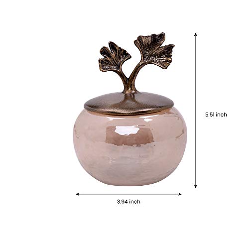 Cotton Jar with Lid in Glass and Metal Black Luster Gold Finish for Bathroom Decor Cotton SwabHolder, Q-Tip Container Bath Accessory (Gingko)
