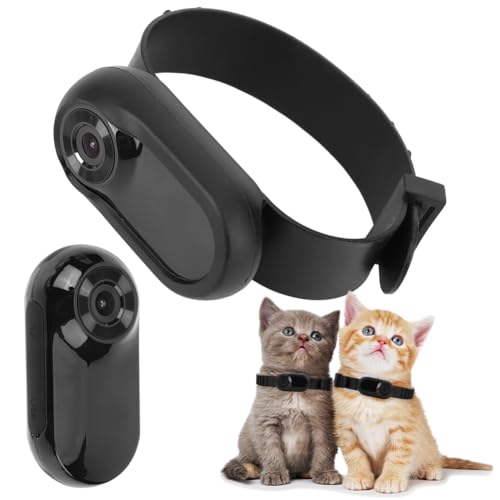 HD 1080P Cámara de Collar Inalámbrica No Necesita ...