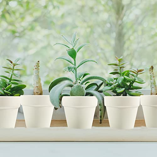 Sderoq 3.14 Inch Terracotta Pots - 22Pack Clay Flower Pots With Drainage Hole, Succulent Nursery Pot/Cactus Plant Pot. Great For Plants, Crafts, Wedding Favorn, Diy Production (White) #TOP4