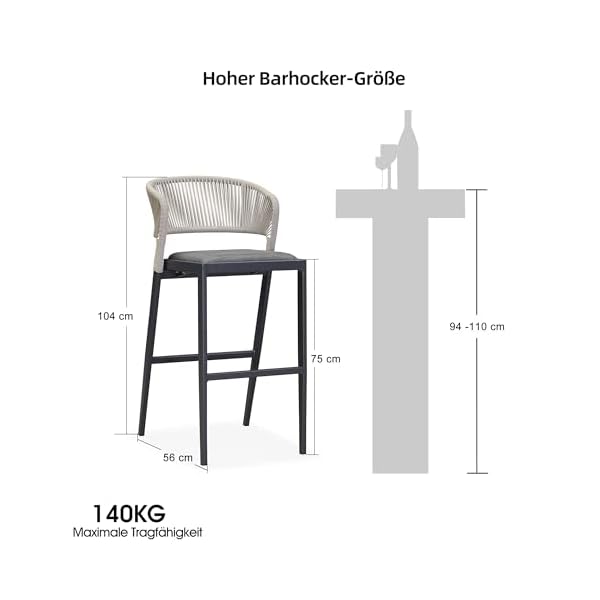 PURPLE LEAF Outdoor Barhocker 2er-Set Grau