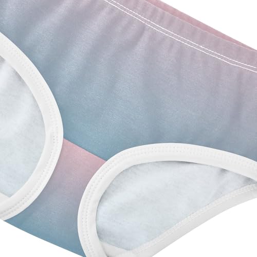 Joisal Blush Pink Saxe Blue Gradient Girls Underwear Toddler 2t Cotton Panties for Girl Animals Undies Kids Briefs4