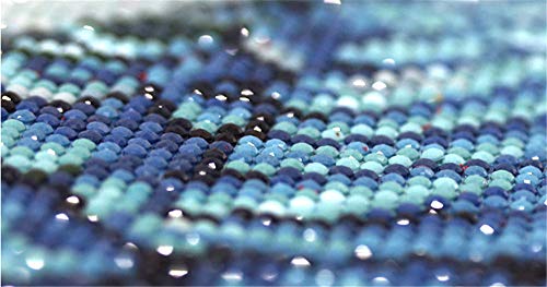 Railonch Large 5D Diamond Painting Kits For Adults, Full Drill Diy Diamond Painting By Number Kits Peacock Pictures Arts Craft For Home Wall Decor #TOP6