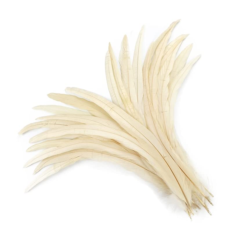 Plumas de cola de gallo 25-30cm naturales sin teñir, pluma real densa que no se desforma