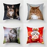 ►【HIGH QUALITY MATERIAL】:Die Wurfkissenbezüge mit Atmungsfähigkeit und Haltbarkeit, kein eigenartiger Geruch, bequem, stilvoll. Halten Sie Ihre Square Cushion Cover sauber und gegen Kratzer, Fingerabdrücke. Versteckter Reißverschluss entworfen, einfach zu setzen und zu entfernen Kissenbezug.