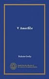 V Ameriki&Iacute;&iexcl;e (Russian Edition)