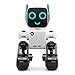 ADLIN Al aire libre Juguetes educativos, Robot Rc control remoto del robot inteligente de programación inteligente de detección de gestos robot, Baile del canto de Ruta Rc Juguete Con batería recargab