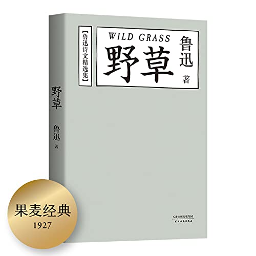 ??(???????) [Chinese] 7201097199 Book Cover