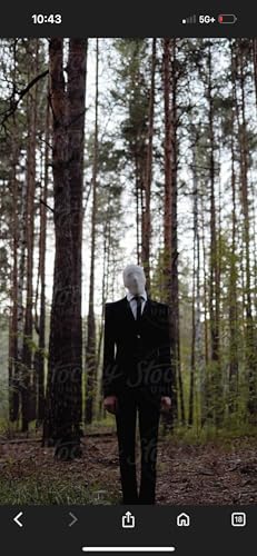 WE ARE BACK cover art