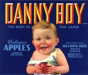 Magnet Brewster Washington State Danny Boy Baby Apple Fruit Crate Magnet Art Print