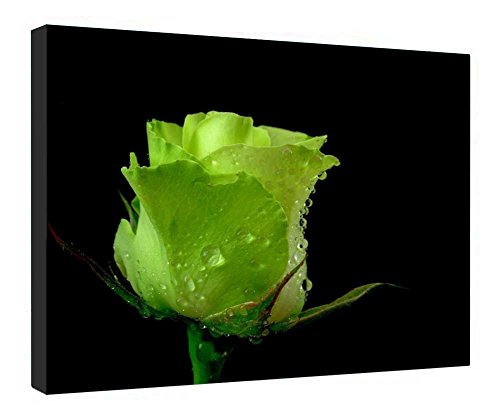 Impression sur toile rose et citron vert pour habiller un mur vide