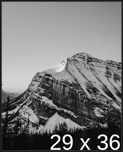 Frame It Easy 29 x 36 1/8 Satin Black Metal Frame (Ashford) 29x36.1 inches