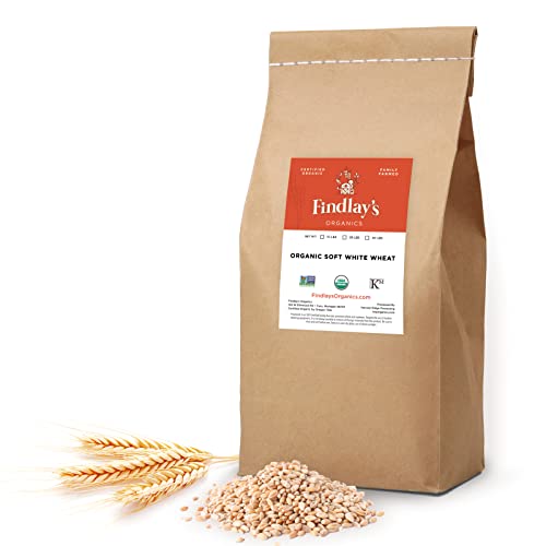 Soft White Wheat Berries Organically Grown In Michigan, Farmer Direct, Usda Organic Certified, Non-Gmo, 25 Lbs Total // Findlay's Organics #TOP30