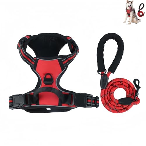  n[lX ߉\ Ԕ ʋC bV s⏕ U p y S  h~ hbO P Č (bh,38-61 cm)