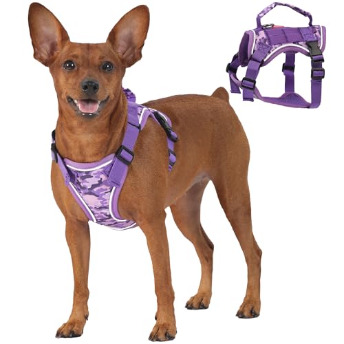 Meifsou Escape-Proof Dog Harness Set