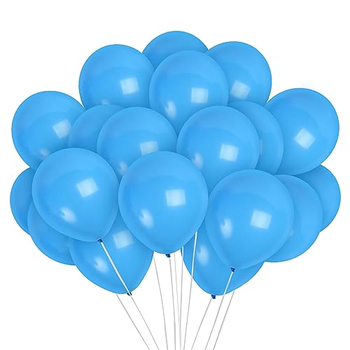 Treasures Gifted Light Blue Balloons 72 Pack - Pastel Baby Blue Balloons - 12in Latex Sky Color Party Supplies - Robins Egg Decorations