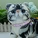 Newtensina Fashion Cute Flower Pattern Cat Collar with Flower Pendant Pedal Pendant for Cats - Purple