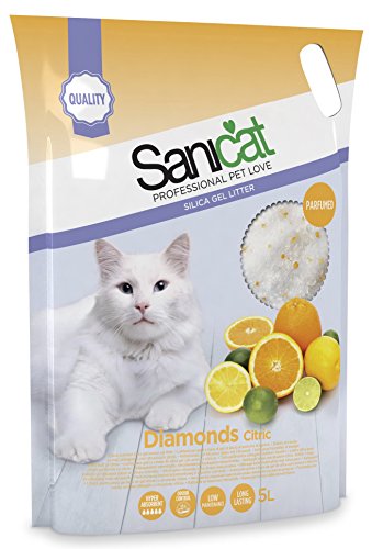 TOLSA D-10280 Sanicat Diamonds Cítricos - 5 L