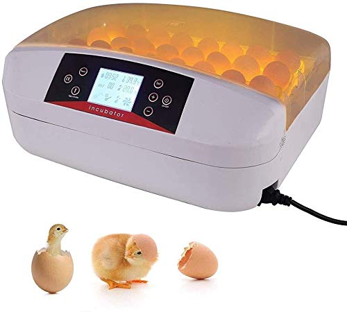 SYue Intelligent Digital Incubator 56 Eggs With Testing Light, Temperature Humidity Control For Ducks Birds Poultry Hatcher Chickens