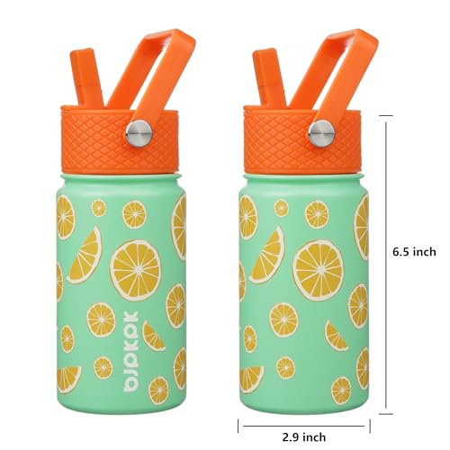 Image of BJPKPK Insulated Water Bottle, 15oz Stainless Steel with Straw Lid