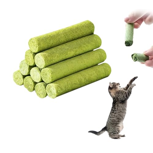 OUDQFCJ 10 Pcs Snacks de Hierba Gatera para Gatos, para Cuidado Dental y Eliminación de Bolas de Pelo, Catnip Stick (50g)