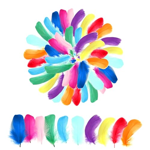 400pcs Colorful Feathers for Crafting?3-5 inches Natural Feathers with 10 Colors DIY Crafts No-Fading for Wedding Home Party Handmade Decorations