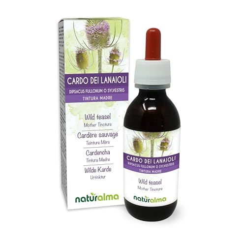 Wilde Karde (Dipsacus fullonum oder D. sylvestris) Wurzeln Alkoholfreier Urtinktur Naturalma - Flüssig-Extrakt Tropfen 120 ml - Nahrungsergänzungsmittel - Veganer