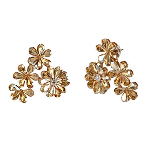 Elegant Crystal Earrings for Women