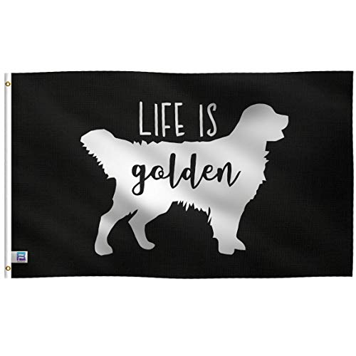 Drapeau doré 3x5m de qualité premium avec œillets renforcés en toile