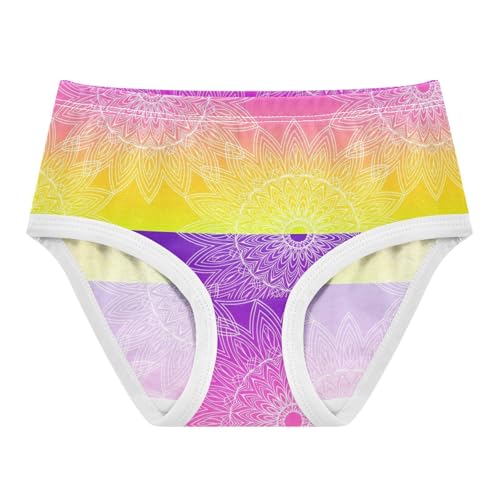 Joisal Vibrant Purple Yellow Gradient Cute Panties Girl Toddler Girls Underwear Cotton Artistic Briefs Undies Kids 2t