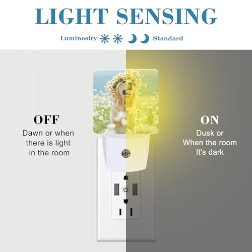 Image of Plug in Night Lights Golden Retriever with Daisy Wreath Night Light with Dusk to Dawn Sensor Night Light for Kid Girls Boys Women Men Room Decor, Hallway, Kitchen, Bathroom, Nursery, Stairs