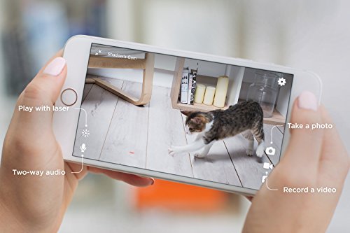 Petcube [2017 Item] Play Smart Pet Camera with Interactive Laser Toy. Remote Dog/Cat Monitoring with HD 1080p Video, Two-Way Audio, Night Vision, Sound/Motion Alerts. App-Enabled Pet and Home Safety - Thumbnail 3