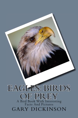 Eagles: Birds of Prey