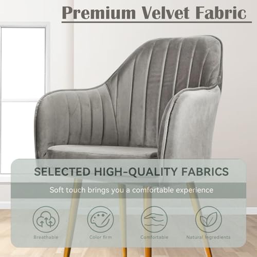 Image of Velvet Accent Chair | Luxury Upholstered Armchair with Sturdy Metal Legs | Modern Comfortable Chair for Living Room, Bedroom, Office, or Cafe (Golden Legs, Grey)