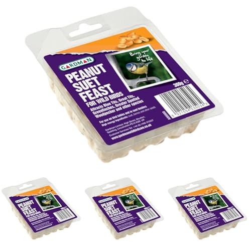 Gardman Peanut Suet Feast Block for Wild Birds, 300 G (Pack of 4)