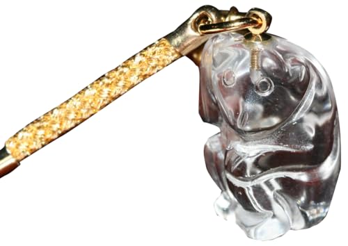 { 蒤 x Xgbvzp t Â xl` zobN (\)