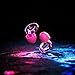 Loop Engage Equinox Earplugs – Reusable Noise-Reducing Earplugs | Colourful Hearing Protection | for Socializing, Parenting & Noise Sensitivity | Customizable Fit | 16 dB (SNR) Noise Reduction