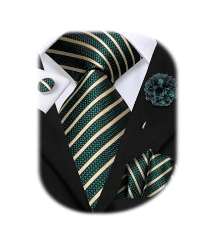 Image of Hi-Tie Mens Paisley Floral Striped Ties Set Silk Necktie and Lapel Pin for Men Pocket Square Cufflinks Set Business Wedding