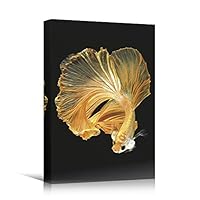 SIGNWIN Canvas Wall Art Betta Splendens Fighting Fish with Golden Yellow and Orange Fins Marine Life Ocean Modern Art Nautical Closeup Colorful for Living Room, Bedroom, Office - 12x18 inches
