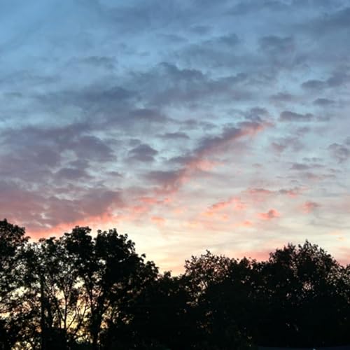 Couverture de The Living Life Podcast