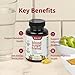 Snap Supplements Blood Sugar Blend with Berberine, CoQ10, Cinnamon, Alpha Lipoic Acid and Gymnema to Support Healthy Blood Sugar, Metabolic Health and Energy, Sugar Free, 60 Capsules