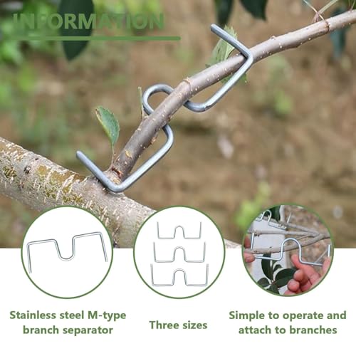 FUYTSUO 30 Stück Metall M Förmiger Astspreizer, Astklammern für Obstbäume, Astspreizer für Obstbäume, für Die Erweiterung und Anpassung Von Obstbaumzweigen, Wiederverwendbar (M-Design)
