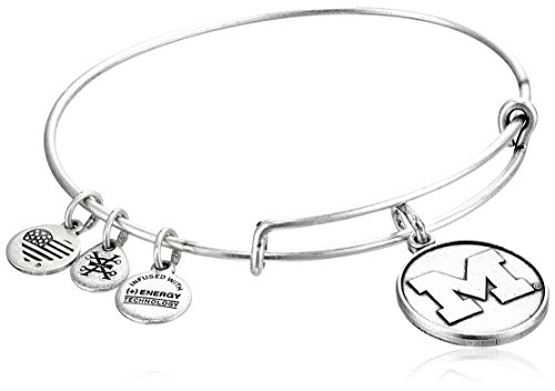 Alex and Ani University of Michigan Rafaelian Silver Bangle Bracelet
