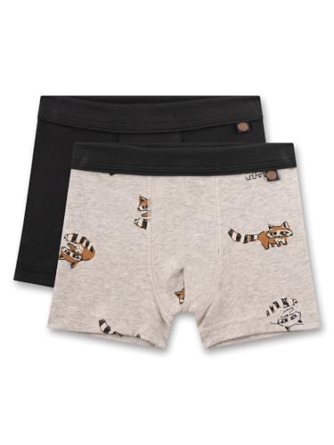 Sanetta Jungen-Hipshorts (Doppelpack) blau & beige Waschbär | Hochwertige und nachhaltige Unterhose für Jungen aus Baumwolle.