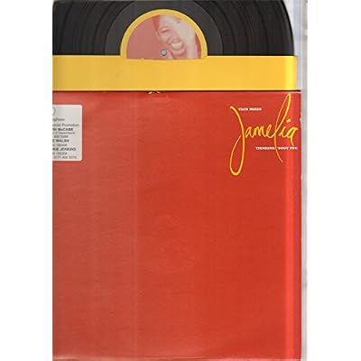 JAMELIA - THINKING BOUT YOU - 12 inch vinyl