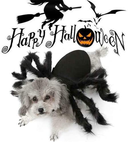 Dog Spider Costume, Spider Dog Costume Halloween Costume For Dogs Or Cats, Horror Simulation Plush Big Spider Wings Dress Up Halloween Party Decoration.（M） #TOP3