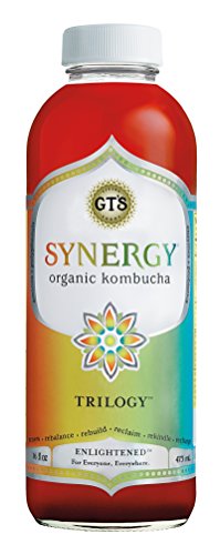 GT'S ENLIGHTENED KOMBUCHA Synergy Organic Kombucha Tea, Trilogy, 16.2 Ounce (Pack of 12)