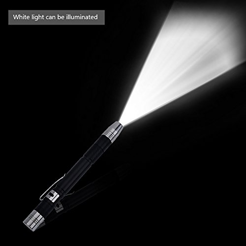 Mini Lanterna de LED com luz de caneta UV Lanterna de lanterna com lanterna de LED, Lanterna de bols