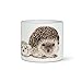 Abbott Collection 27-PL-CN-03-SM Small Hedgehog Family Planter, White/Black