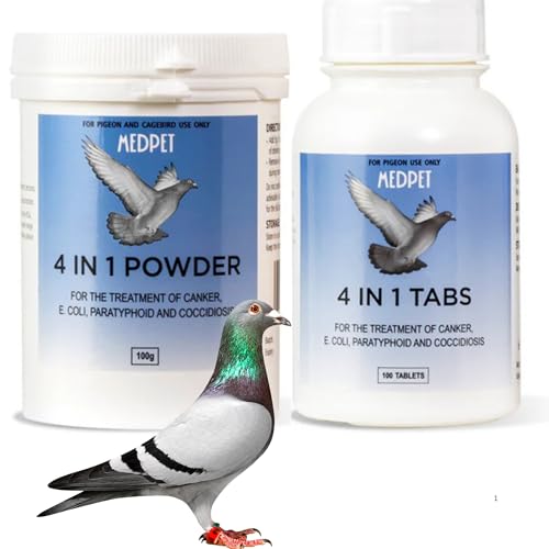 4 in 1 Powder for Pigeon and Birds Treatment 100g for Pigeons and Birds (Powder ONLY 100G)